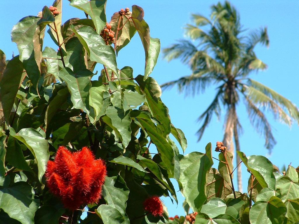 Princess Salme Inn Zanzibar Buitenkant foto
